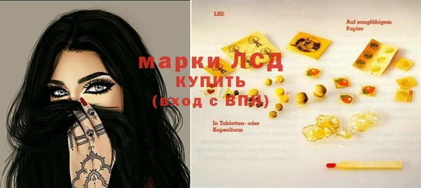 сатива Володарск