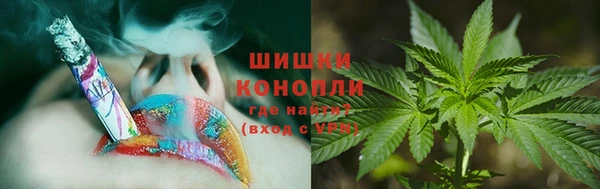 спиды Вяземский