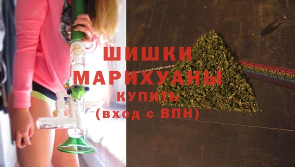 сатива Володарск