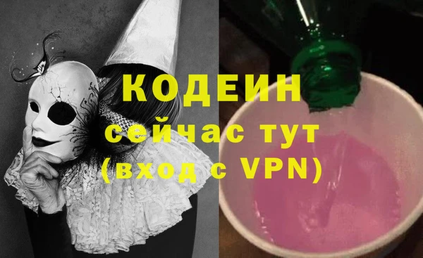 спиды Вяземский