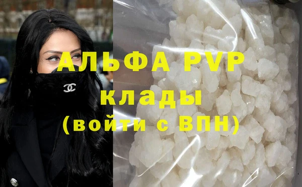 спиды Вяземский