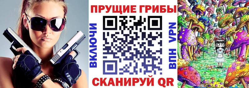 Псилоцибиновые грибы Psilocybine cubensis  Пятигорск 